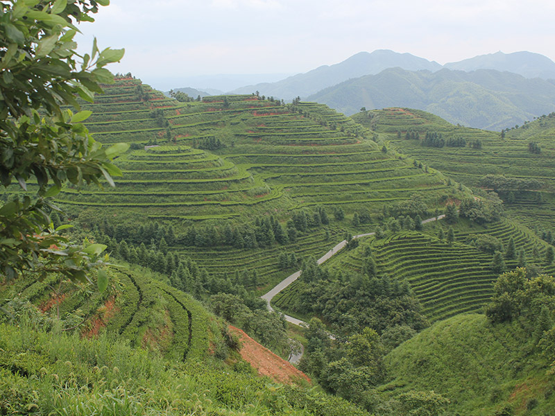 沅陵會(huì)同示范基地